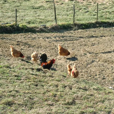 La Cascina